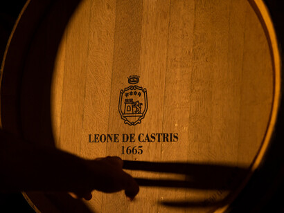 Barril de la bodega Leone de Castris en Salice salentino, Italia