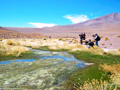 El origen del río Silala se ubica en el departamento boliviano de Potosí y, desde allí, el curso de agua recorre 56 kilómetros, cruzando la frontera internacional entre ambos países