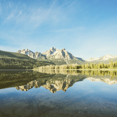 Inteligencia emocional: en todas las culturas existen seis emociones que tienen un sello biológico