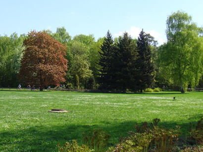 Moscou, Jardin Botanique,  ph Simonetta Sandri