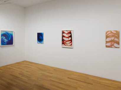 Mariah Robertson, Portraits, exhibition view. Courtesy of Chart