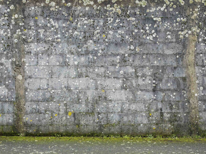 Parois. Courtesy of Galerie Dumonteil