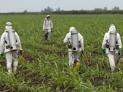 indiscriminate use of pesticides