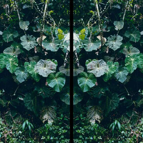 Karen Paulina Biswell, Signos en rotación. Courtesy of Huxley-Parlour Gallery