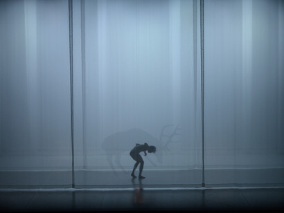 Bolzano Danza, Virgilio, Sieni, Orchestra Haydn, Metamorphosis, foto Andrea Macchia