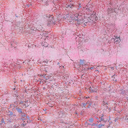 Kanchana Gupta, Open and close #30 (detail), 2025. Courtesy of the artist and Sullivan+Strumpf. Photography by Jing Wei