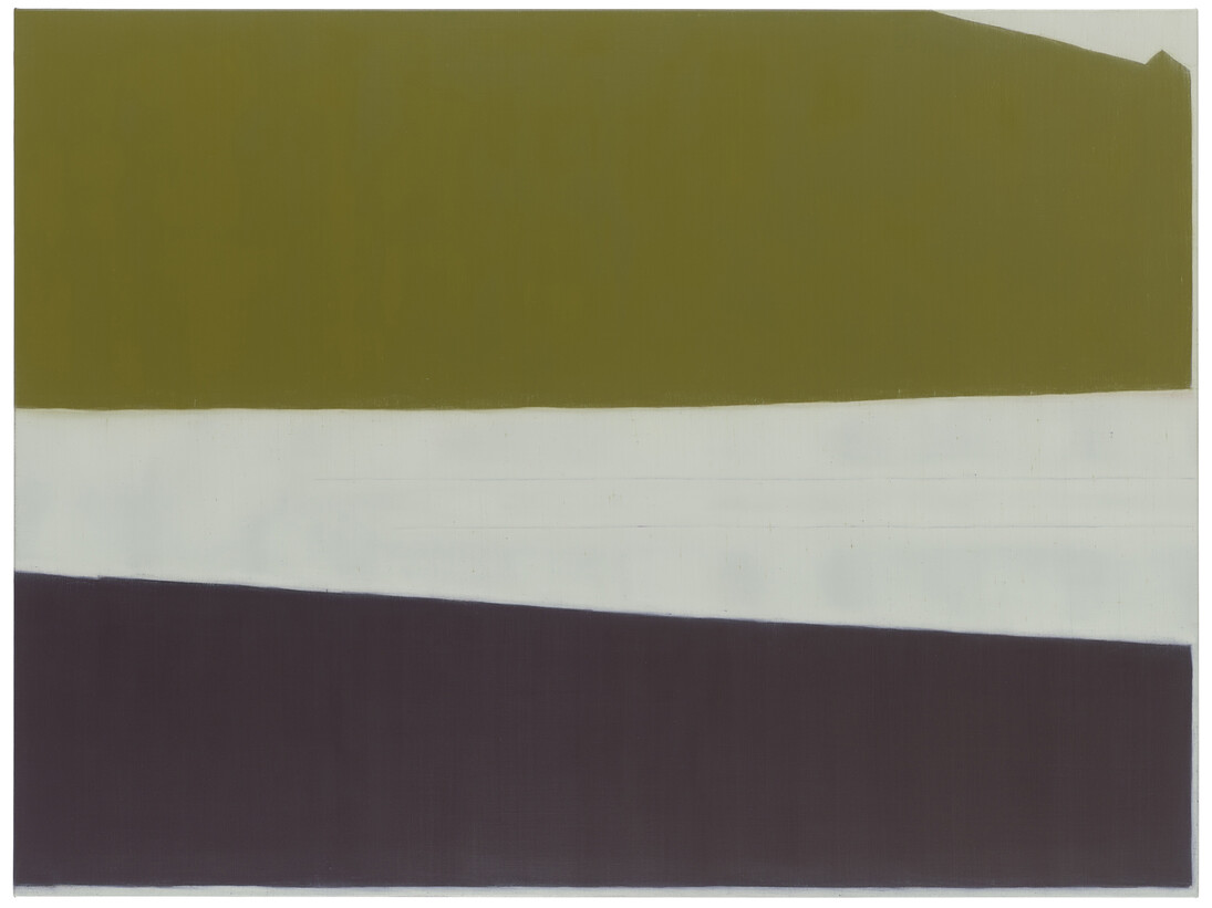 Suzanne Caporael, 688 (Proximate cause), 2014, Oil on linen, 54 x 72 inches, 137.2 x 182.9 cm