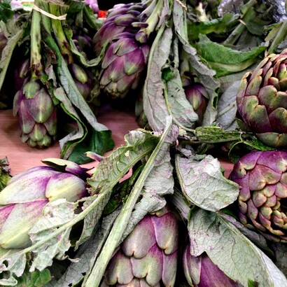 Ricco di fibre, sali minerali e antiossidanti, il carciofo brindisino è un alleato naturale per la salute e il benessere