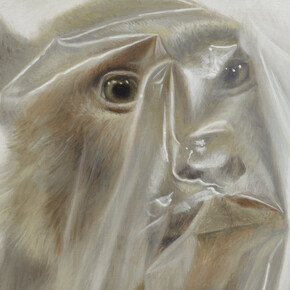 Face Monkey (c) Mark Fairnington, Peter White FXP Photography