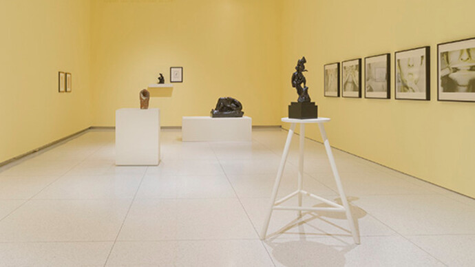 The Hysterical Material. Courtesy of Smart Museum of Art