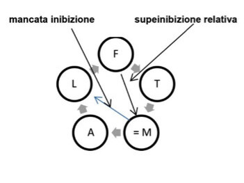 Mancata inibizione e Superinibizione relativa
