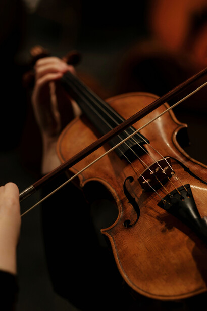 Ante lo sublime —ya sea una tormenta, una galaxia o una orquesta en pleno clímax— el miedo inicial se transforma en una exaltación lúcida: la mente reconoce su límite y, en ese límite, descubre su grandeza