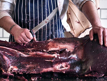 Food Revolution 5.0. Courtesy of Kunstgewerbemuseum