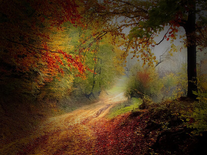 Sentiero. La strada (la propria) va costruita, servono mani, cuore, spirito, e poi fallimenti ed esperienze, le proprie, quelle che facciamo solo noi e basta
