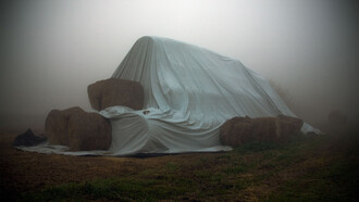 Patrizia Zelano. Attesa Silente, Oblio