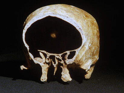João Maria Gusmão + Pedro Paiva, Cyclopean Eye, 2008, Collection frac île-de-france, ©
João Maria Gusmão + Pedro Paiva
