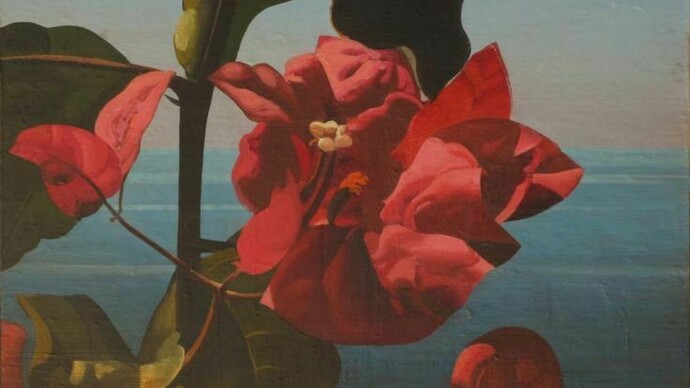 Behi Shamiri, Bouganvillées II, 2013, olio su tela, 46 x 61 cm