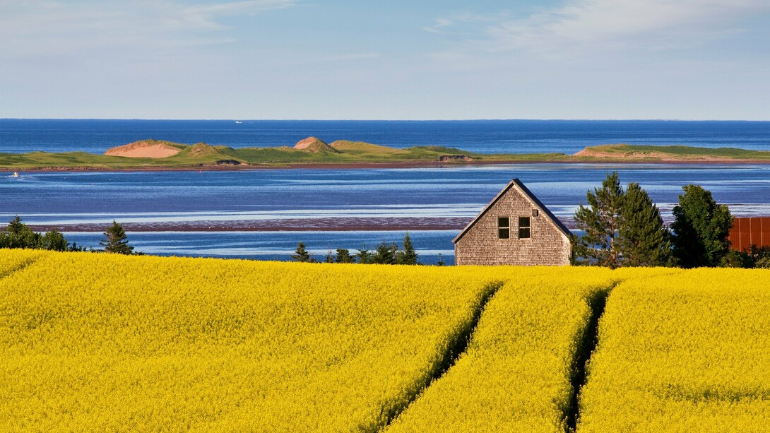 While the TV show was also filmed in Ontario to replicate the 19th-century setting, showing the visual of the Island was the main objective