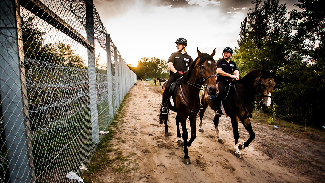 Mounted Hungarian police officers patrolling the external border between Hungary and Serbia