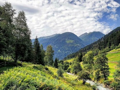 Panorama, valle di Pejo, Trentino-Alto Adige, Italia. Foto di Walter Maria Calarco