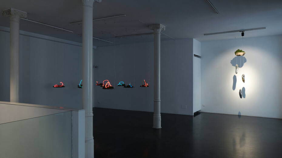 Día Muñoz, Creatures from the dimension of the unconscious, exhibition view. Courtesy of Ponce+Robles