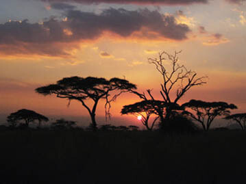 Atardecer en el Parque Nacional Serengueti