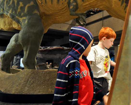 Dinosaurs: Modeling the Mesozoic. Courtesy of Museum of Science 