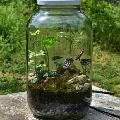 Giara con piante. L’energia è totalmente rivolta verso l’interno, calma, lieta: la natura riposa per ricrearsi, rafforzarsi e rinascere in primavera.