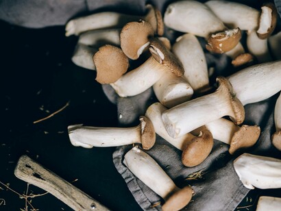 In coltivazione, il Pleurotus eryngii è considerato un fungo relativamente facile da produrre, grazie alla sua capacità di crescere su substrati lignocellulosici