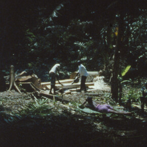 Falling trees, (new film) 2014, 16mm film, colour, no sound, about 8’55’’ Produced by Fondazione HangarBicocca, Milan © João Maria Gusmão + Pedro Paiva