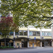 Jhana Millers Gallery