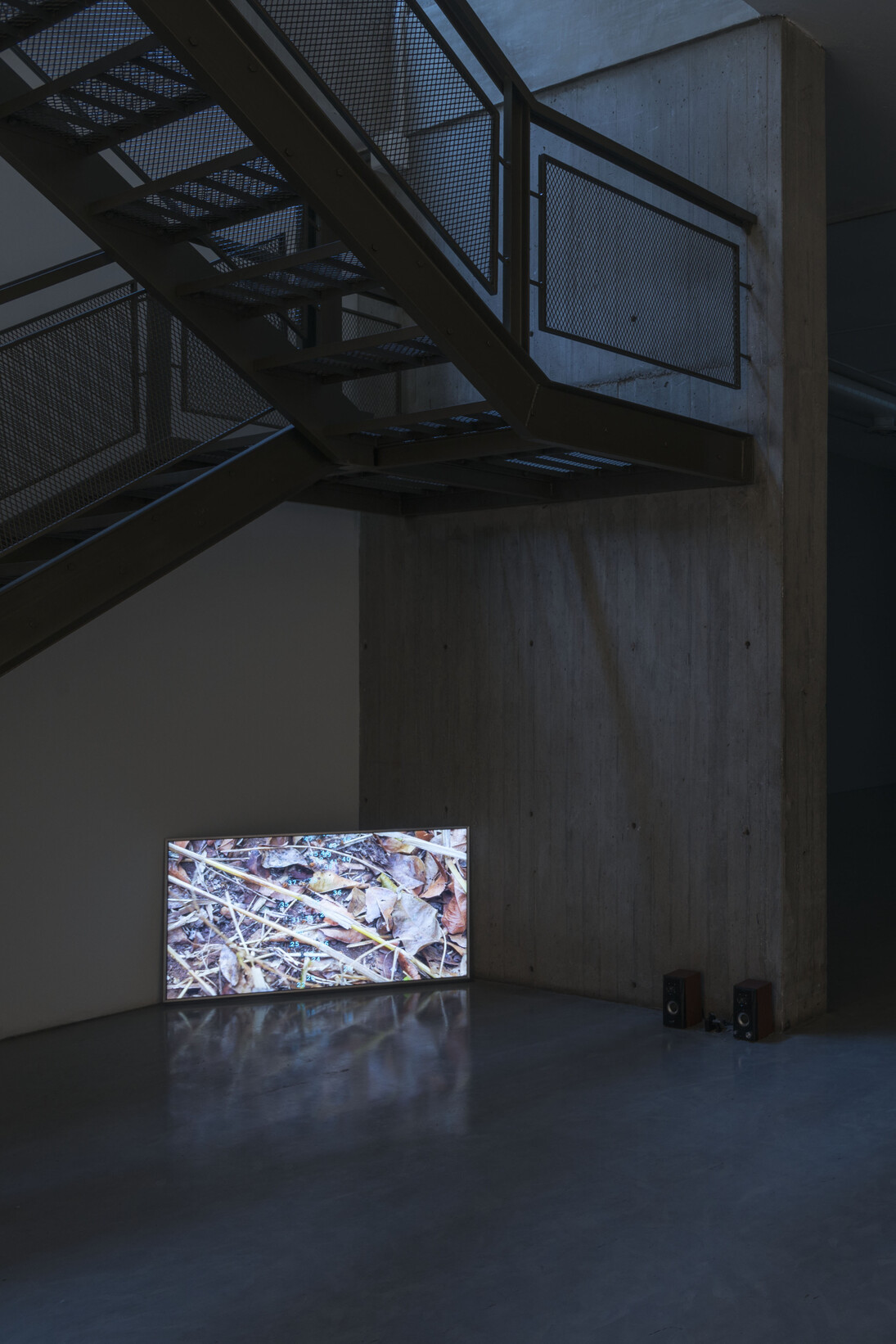 Amalia Pica. Courtesy of IMA