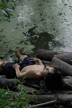 Thao Nguyen Phan. Courtesy of WIELS