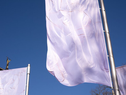 Carlotta Bailly-Borg, Leaning against the wind, exhibition view. Courtesy of S.M.A.K.