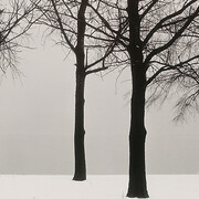 Harry Callahan, American, 1912–1999, Chicago, 1950