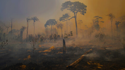 Deforestation and fires in the Amazon Rainforest are devastating not only indigenous people and their culture, but also destroying biomes and contributing to worldwide climate change 