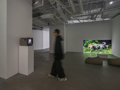 Catastrophism, exhibition view. Courtesy of Vanguard Gallery