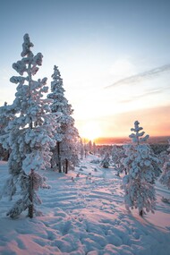 D'inverno l’energia è rivolta verso l’interno, siamo avvolti in noi stessi