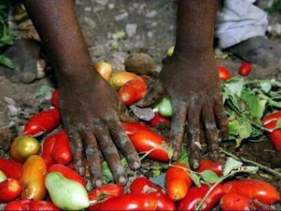 Emigranti in campagna