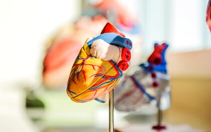 A Firenze si è svolta la 43ª edizione dell’incontro “Conoscere e curare il cuore”, dedicato agli aggiornamenti in ambito cardiologico