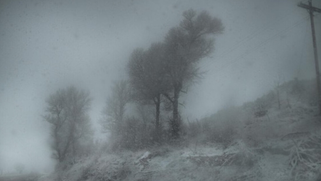 Todd Hido. Courtesy of Galerie Les Filles du Calvaire
