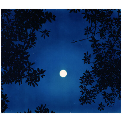 Casey Roberts, Full Moon, cyanotype and acrylic on canvas, 52x60 inches, copyright the artist. Courtesy the artist and Momentum Gallery
