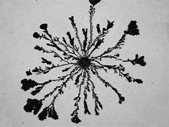Brian Fridge, Sequence 36.1 - 36.5, 2010, Black & white, silent video, 8:42