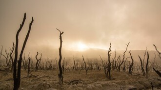 Climate Change