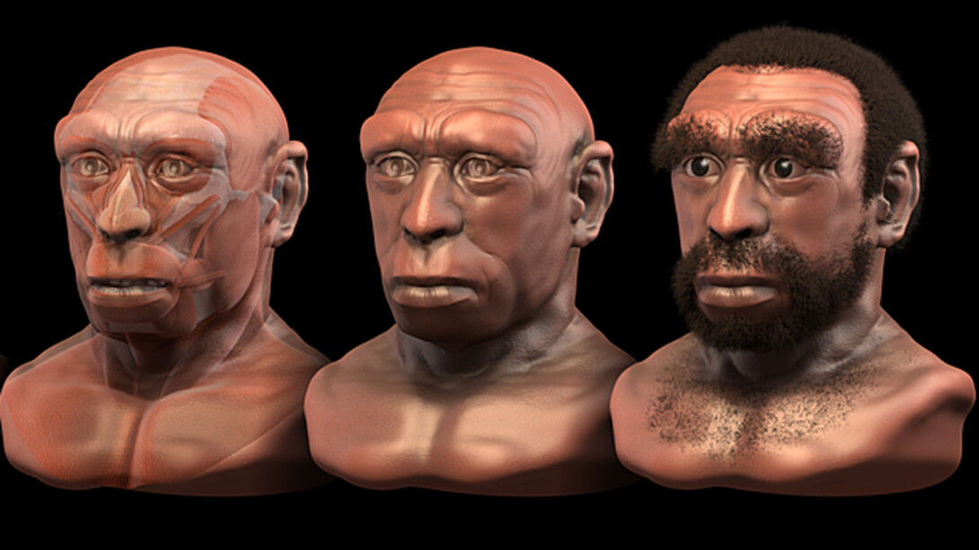 Ricostruzione facciale attraverso le tecniche forensi dell'Homo heidelbergensis