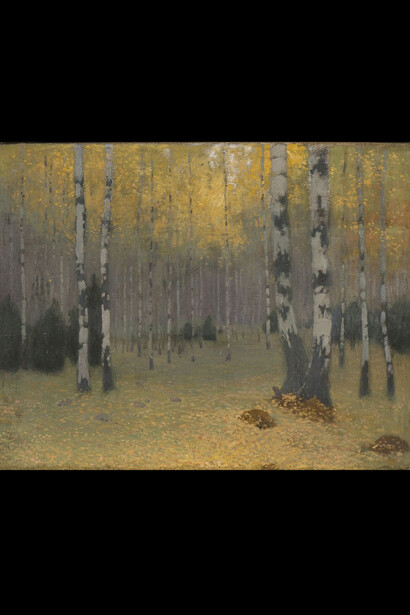 Johann Walter, Foresta di betulle © Photo Normunds Brasliņš