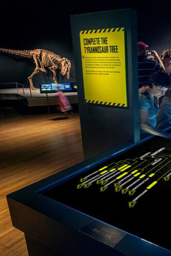 Tyrannosaurs. Courtesy of National Museum of Scotland