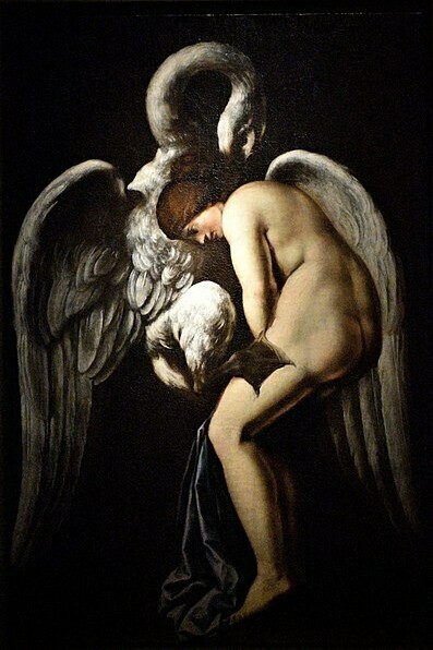 "Zeus se transforma en cisne para seducir a la reina Leda", Mostra Battistello Caracciolo, 1124. Estas transformaciones son clave para la historia natural del mito: la oca era el “avatar” nocturno del cisne