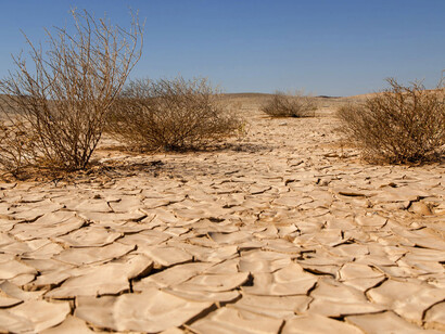 La escasez hídrica está generando muerte del ganado y la agricultura, extrema pobreza y desesperación