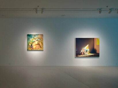 Chen Wei, The invisible road, exhibition view. Courtesy of Ota Fine Arts 